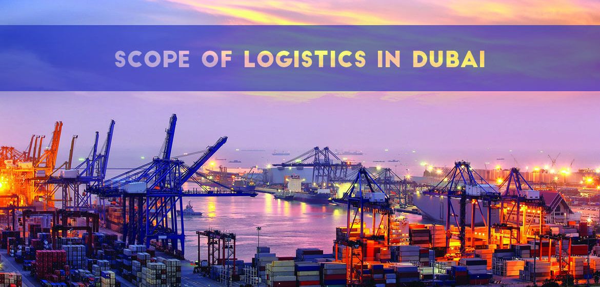 Scope Of Logistics In Dubai - Transglobe Academy
