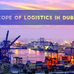 Scope Of Logistics In Dubai - Transglobe Academy